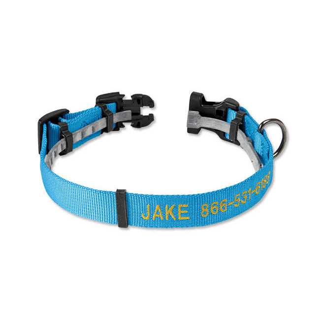 Personalized Flea and Tick Collar X457119