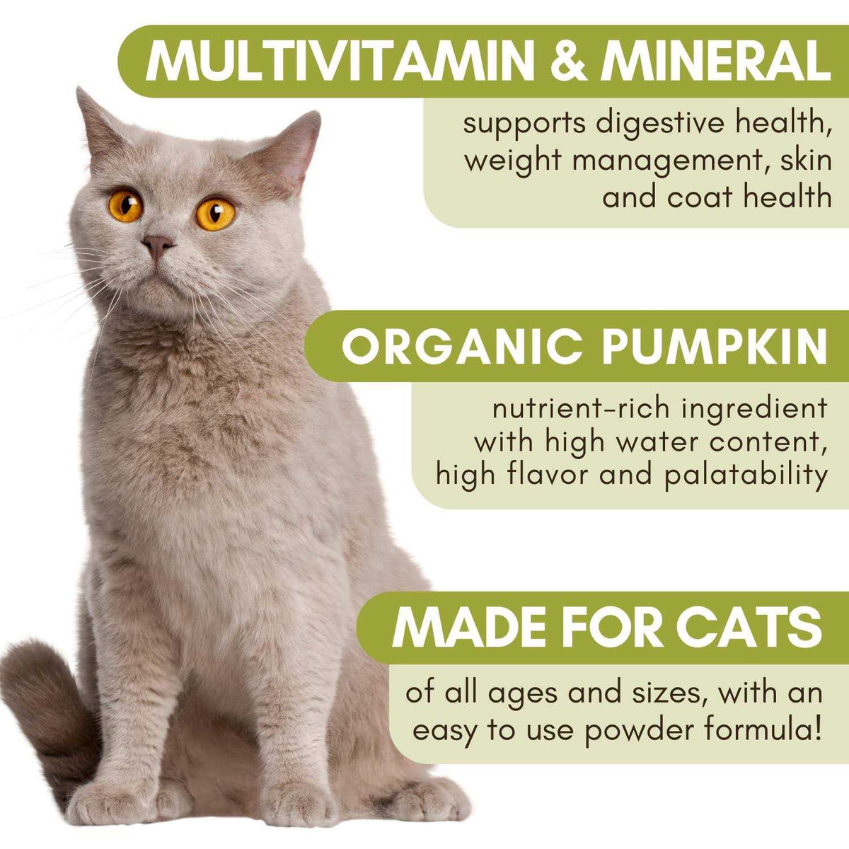 Organic Feline Complete Pumpkin Enhanced Powder Multivitamin W38398