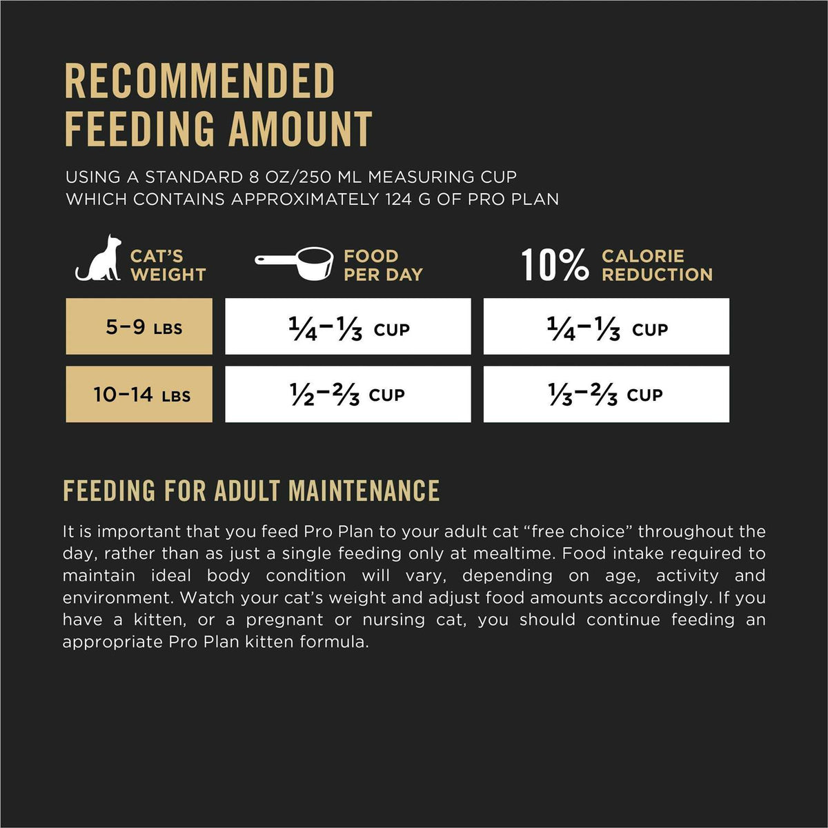 Indoor Salmon & Rice Cat Food E390854