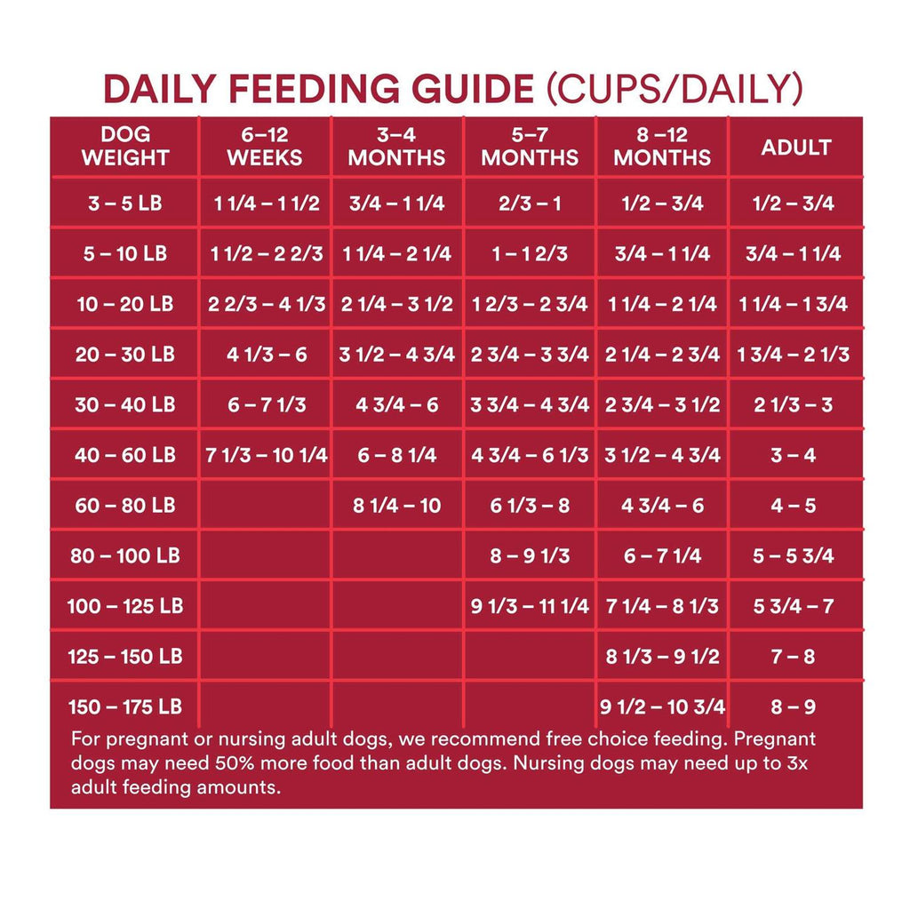 Grain Free Beef & Pea Formula Dry Dog Food R111145
