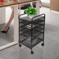 5 Drawer Black File Cabinet S893339