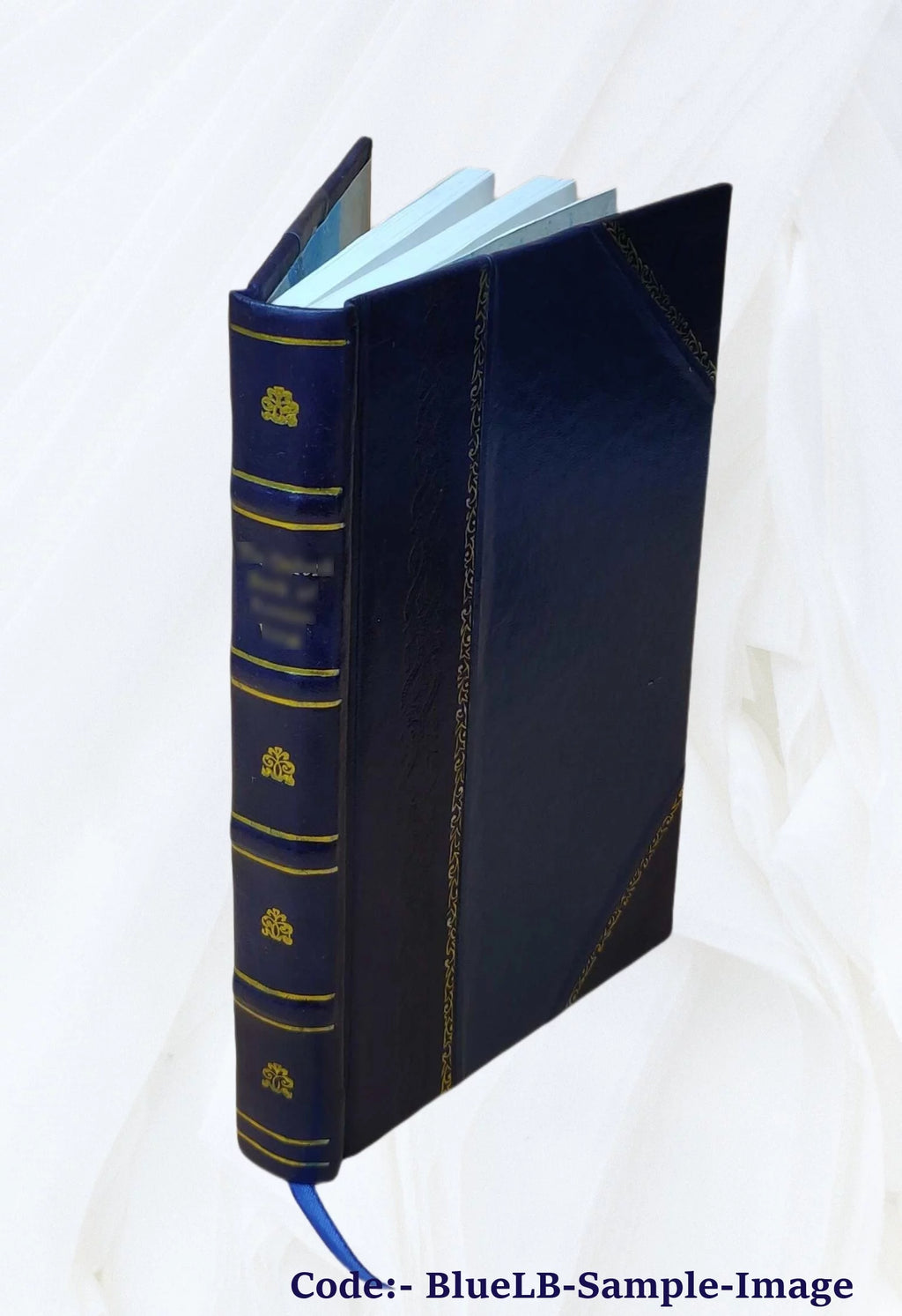 Leather Bound V431251