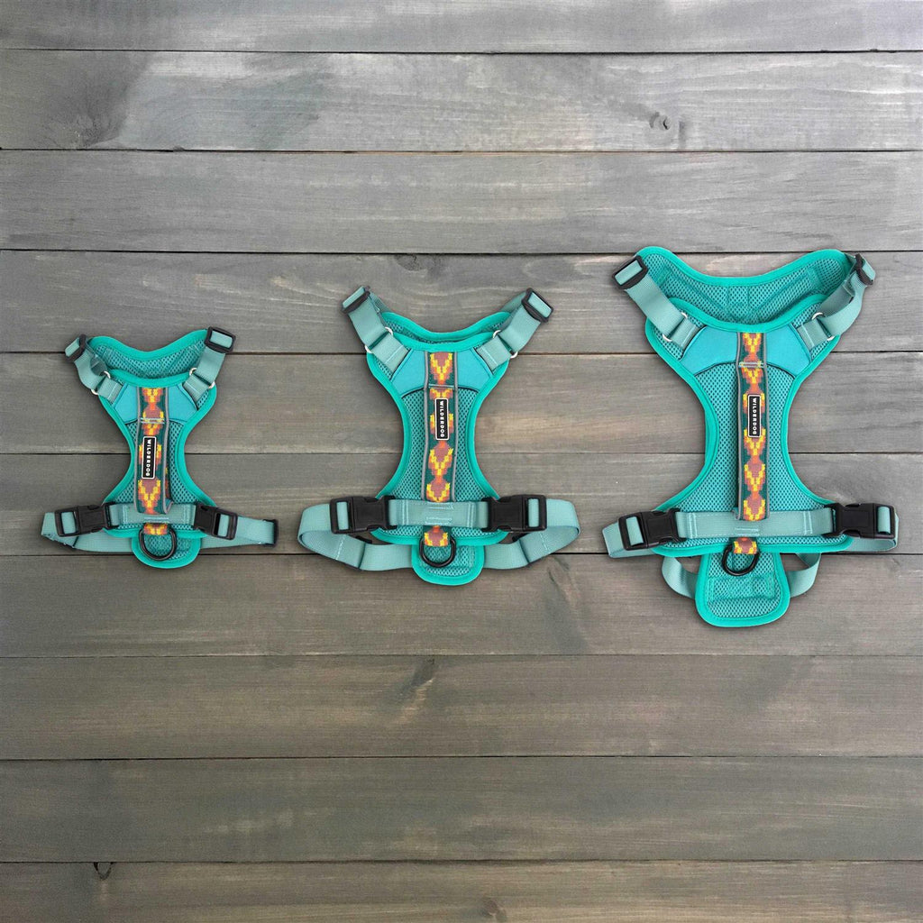Dog Harness Z195869