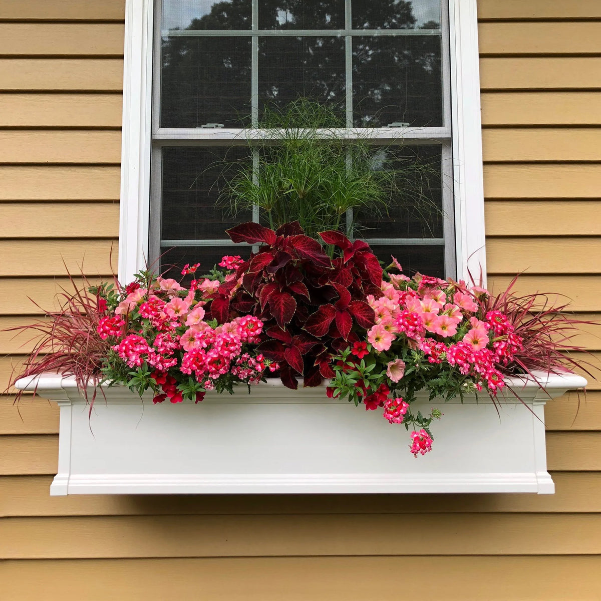 White Window Box I942627