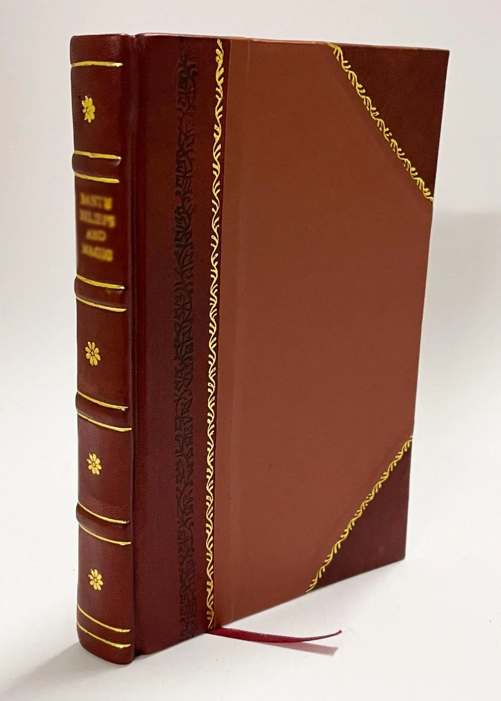 Leather Bound Bible R4446
