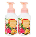 Gentle Foaming Hand Soap 8.75 Ounce 2-Pack U53775