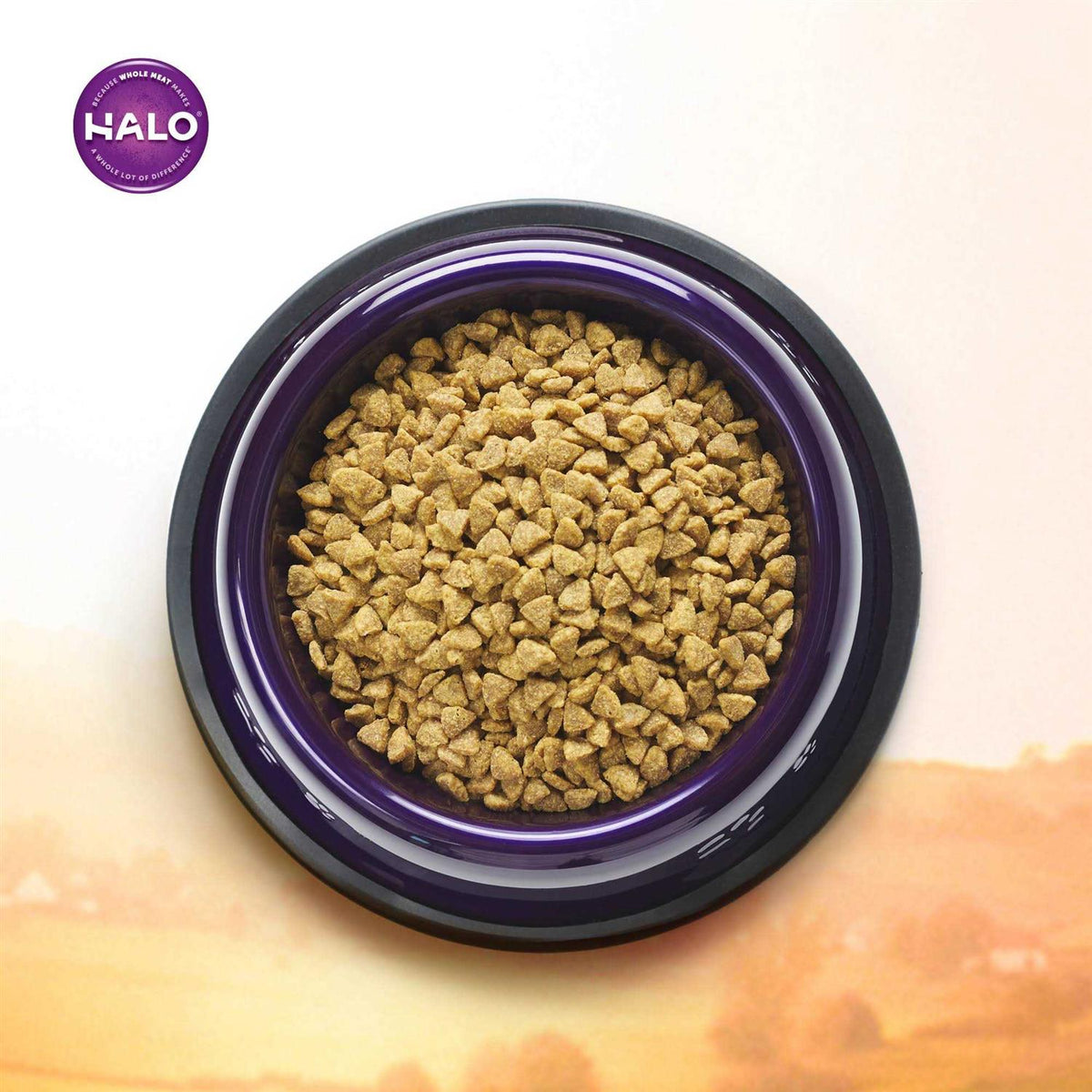Chicken & Chicken Liver Recipe Grain-Free Dry Cat Food E625345