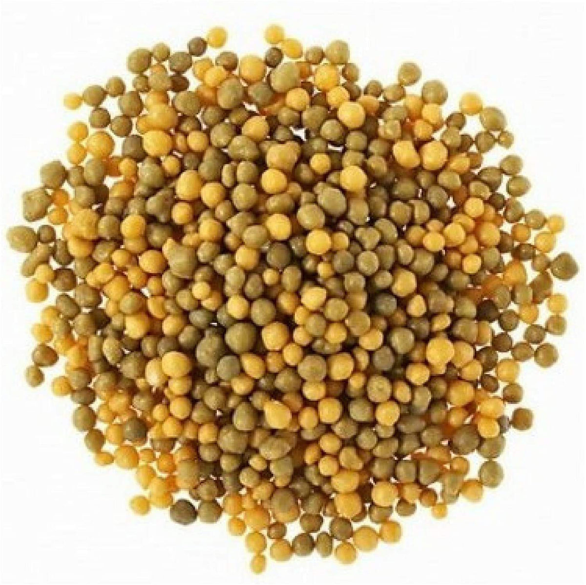 15 oz Smart-Release Plant Fertilizer V8690