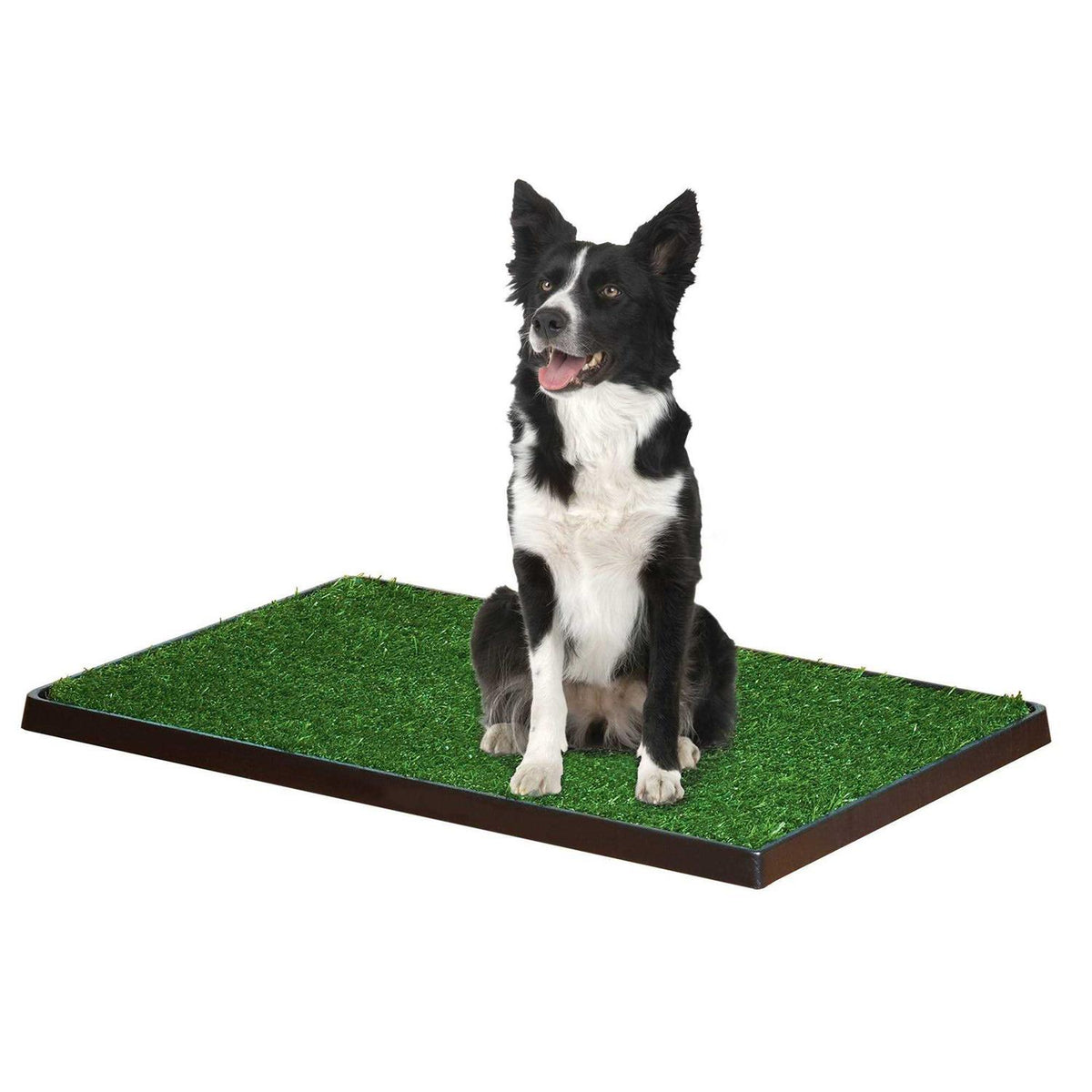 Indoor Potty Z286947