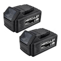 20V 5 Ah Lithium-Ion Battery 2-Pack W20798