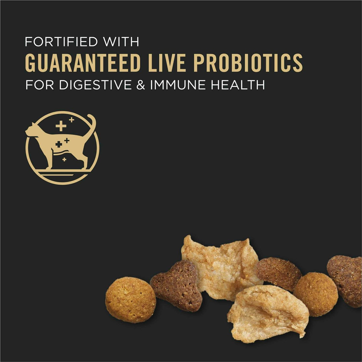 Dry Kitten Food H672