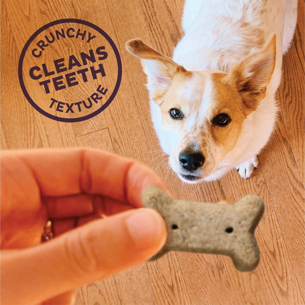 Small Dog Biscuits H418