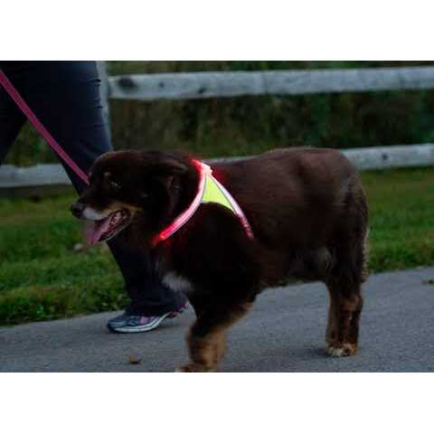LED Reflective Dog Harness C34104