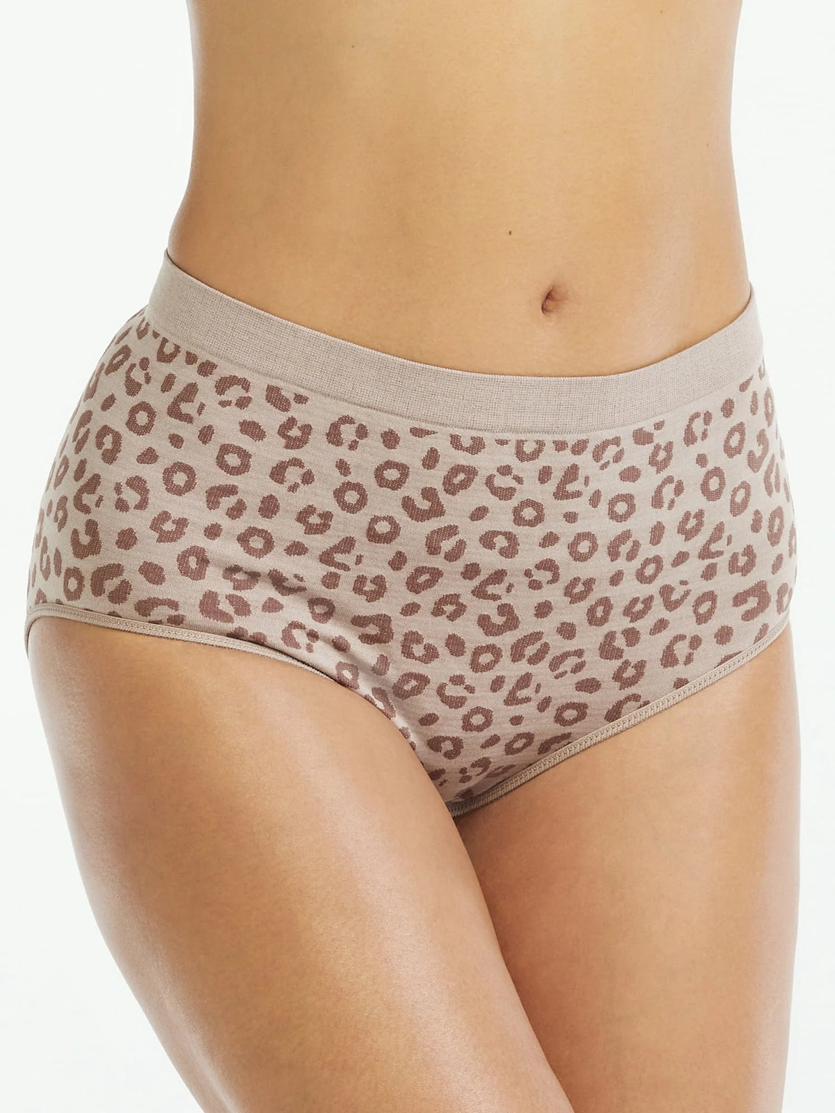 Seamless Brief Panties 6-Pack G8839