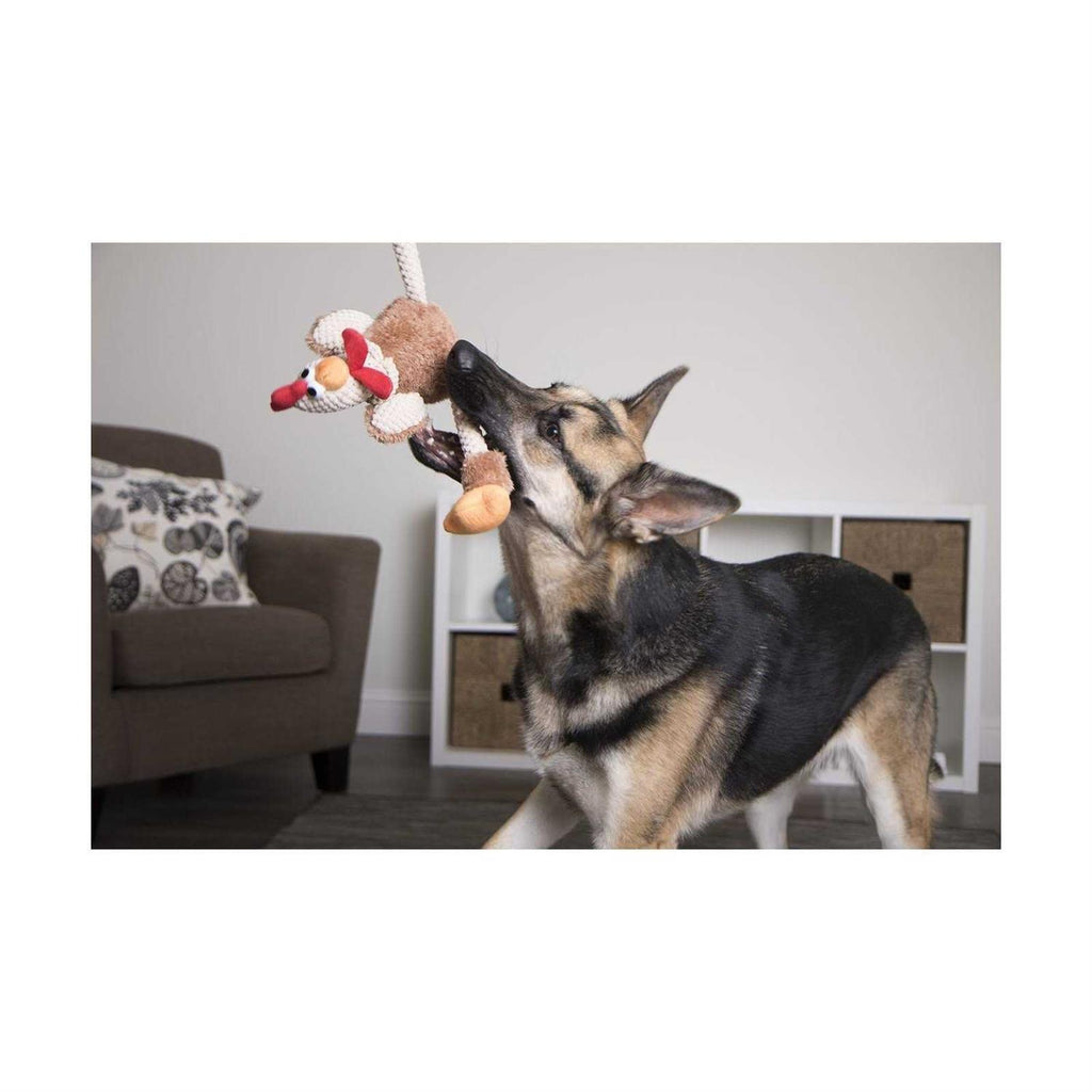 Skinny Rooster Dog Toy O7375
