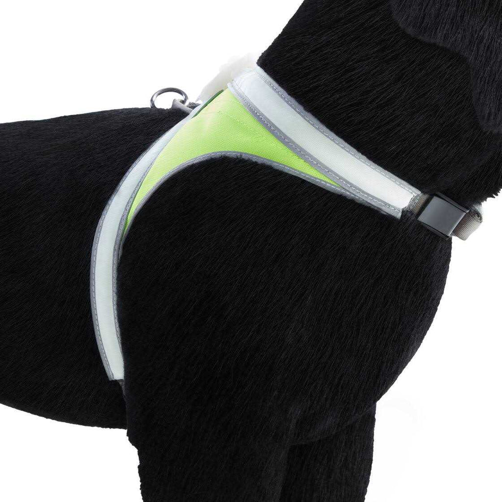 LED Reflective Dog Harness C34104