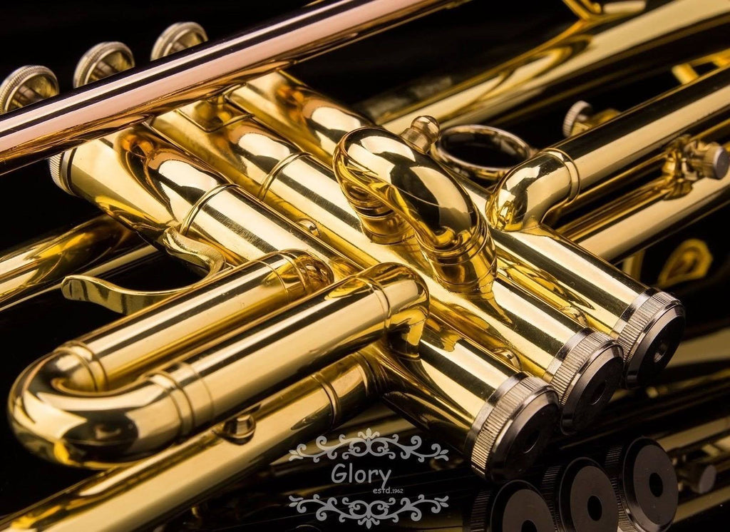Brass Bb Trumpet with Pro Case and Care Kit U6168
