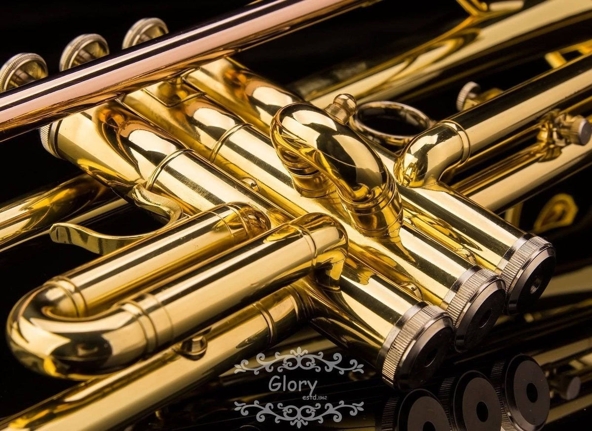 Brass Bb Trumpet with Pro Case and Care Kit U6168