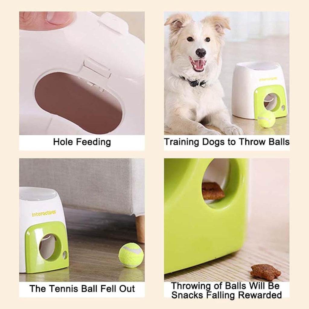 Interactive Slow Feeding Dog Toy K534321