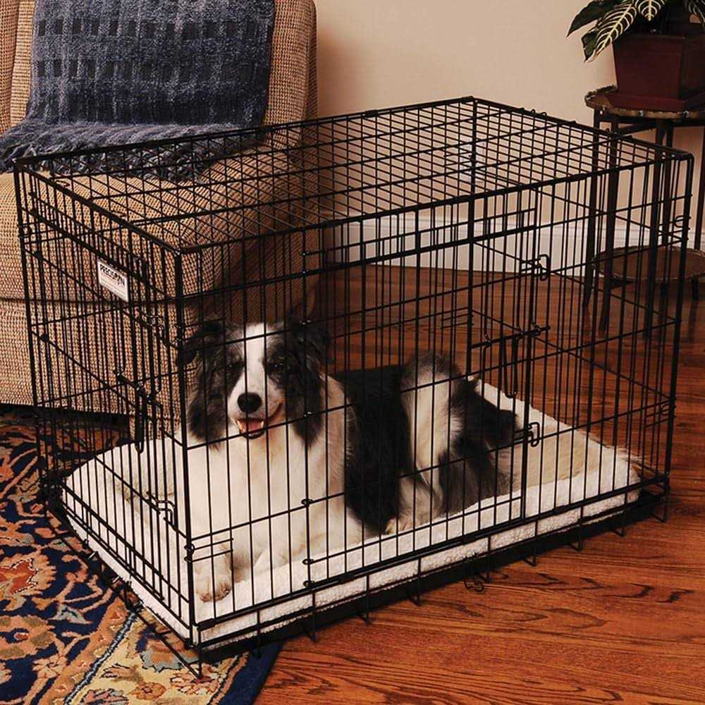 2-Door Pet Crate D556000