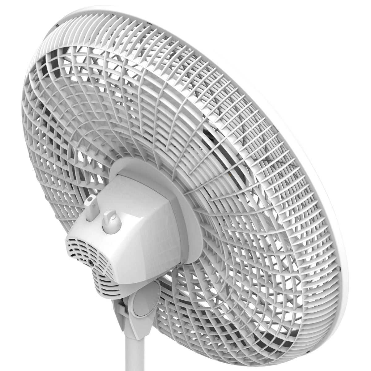 White 18 Inch 3-Speed Oscillating Pedestal Fan P1908
