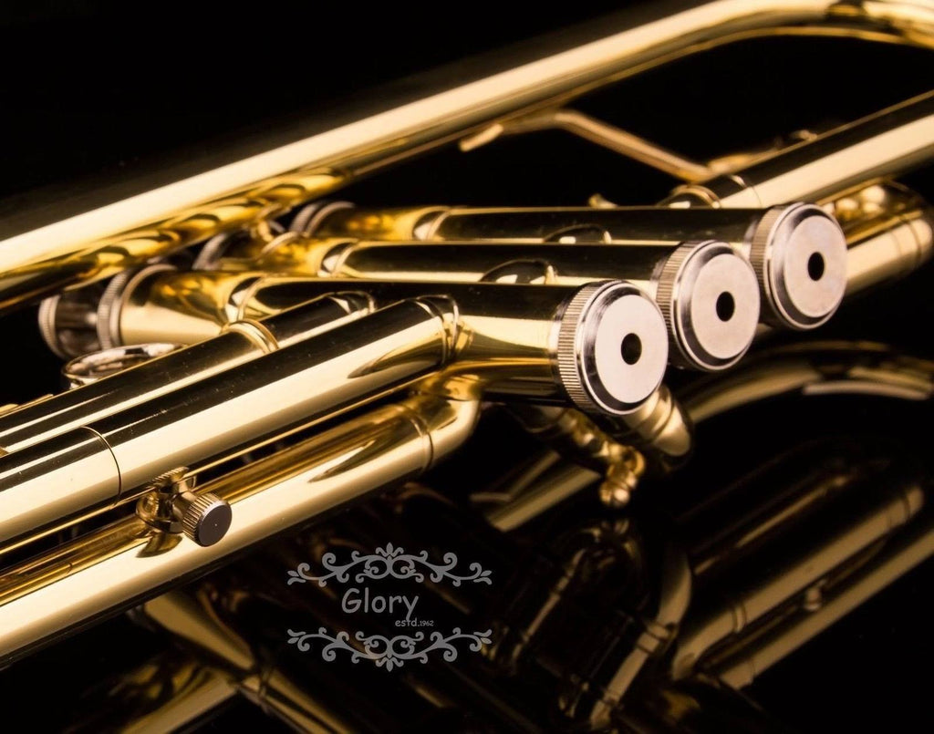Brass Bb Trumpet with Pro Case and Care Kit U6168
