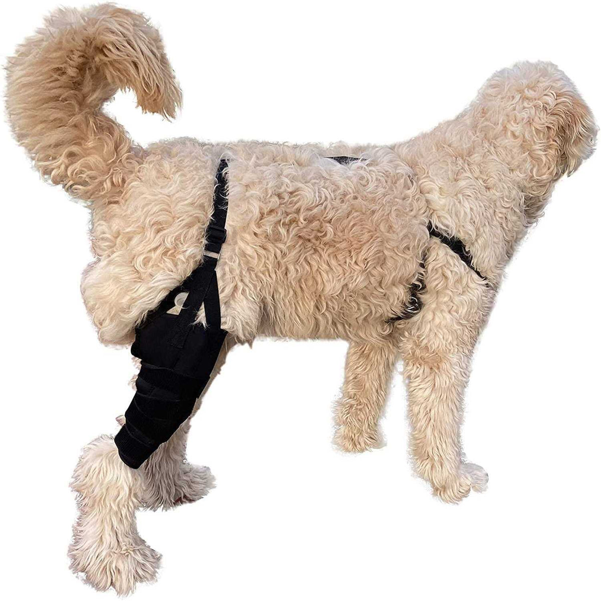 Dog Knee Brace Wrap Metal Hinged Support G59120