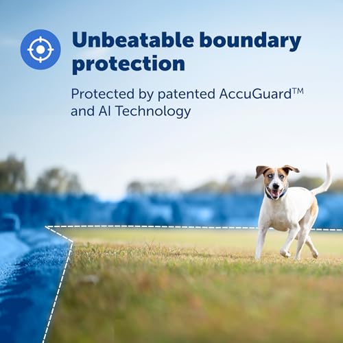 GPS Dog Collar with App, Waterproof Rechargeable (Blue, Grey) C539888
