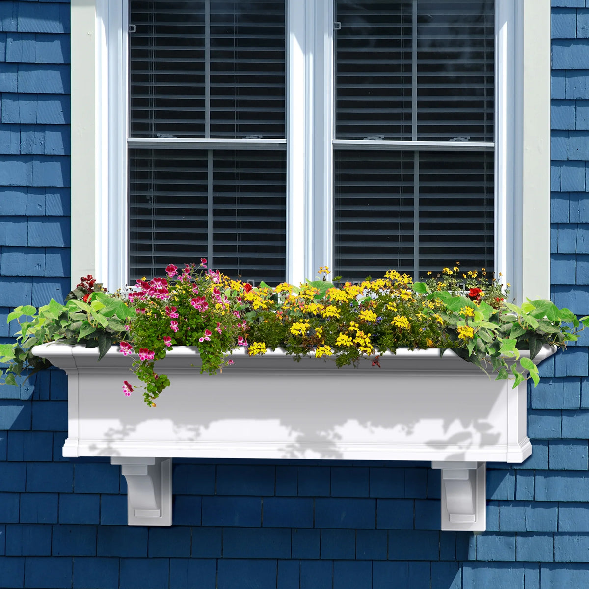 White Window Box I942627
