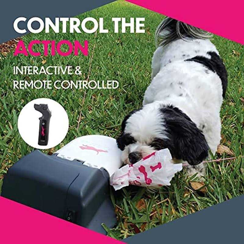 Remote-Control Chase Toy for Dogs N598