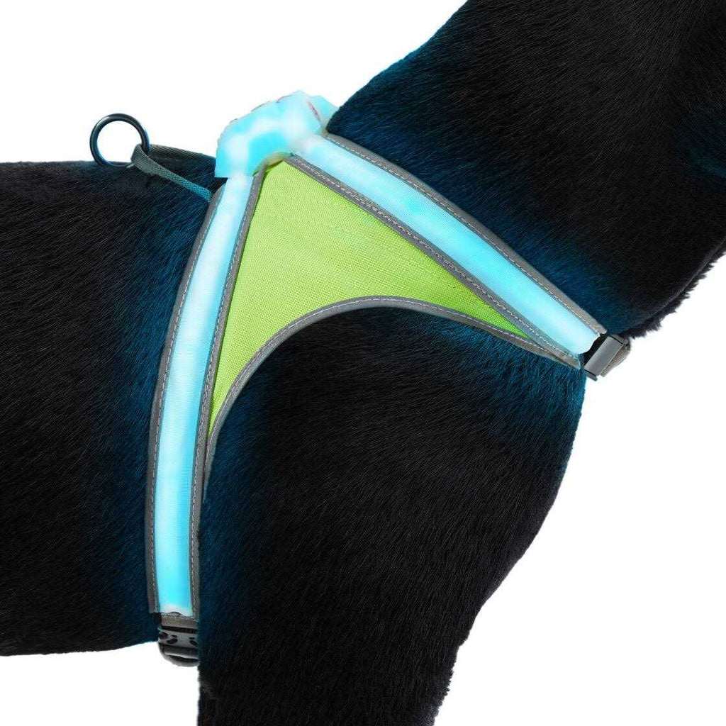 LED Reflective Dog Harness C34104