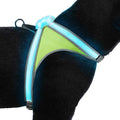 LED Reflective Dog Harness C34104