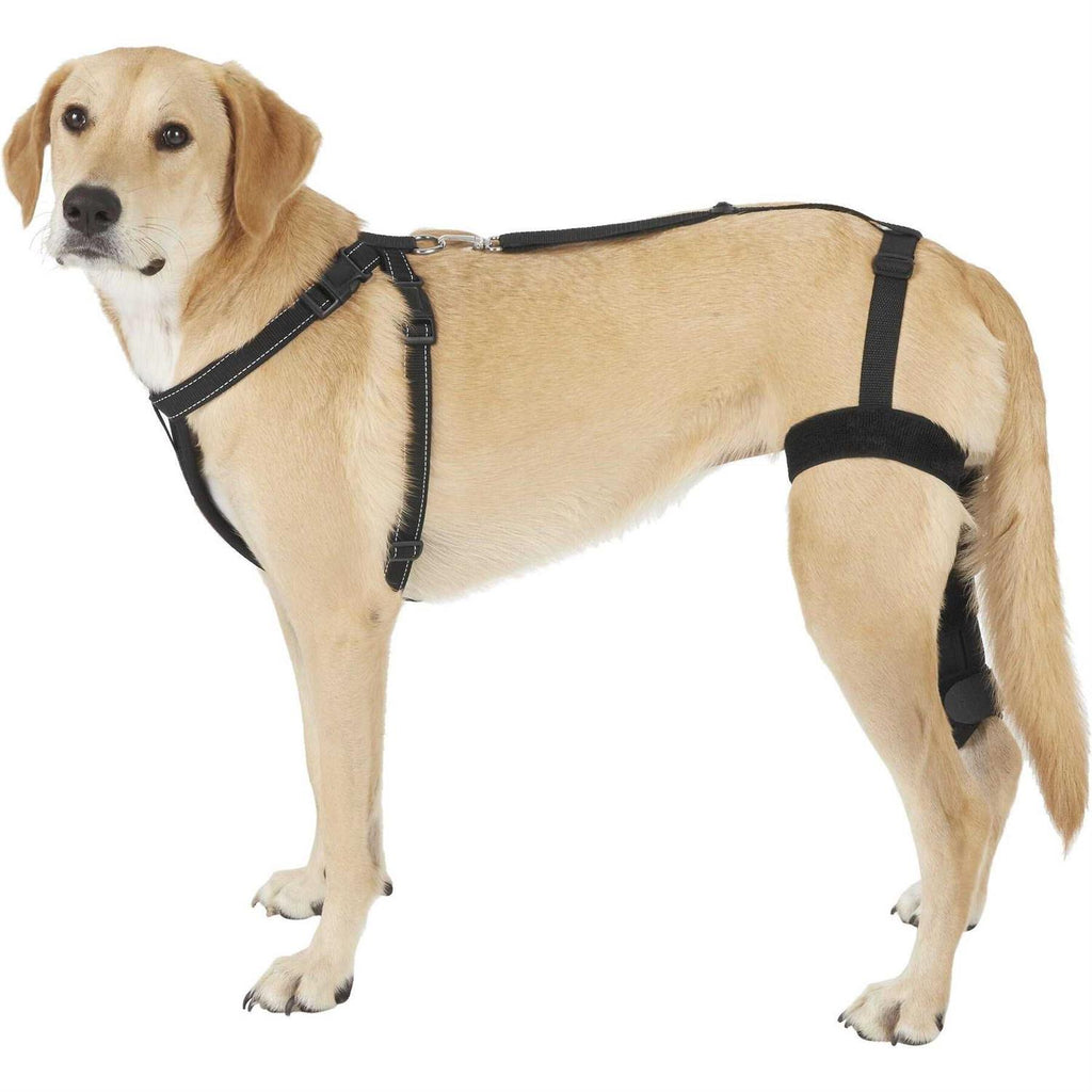 Dog Knee Brace Wrap Metal Hinged Support G59120