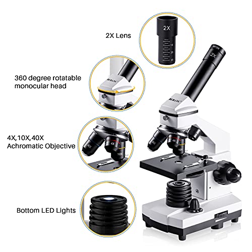 100X-2000X Compound Microscope with Microscope Slides C61885
