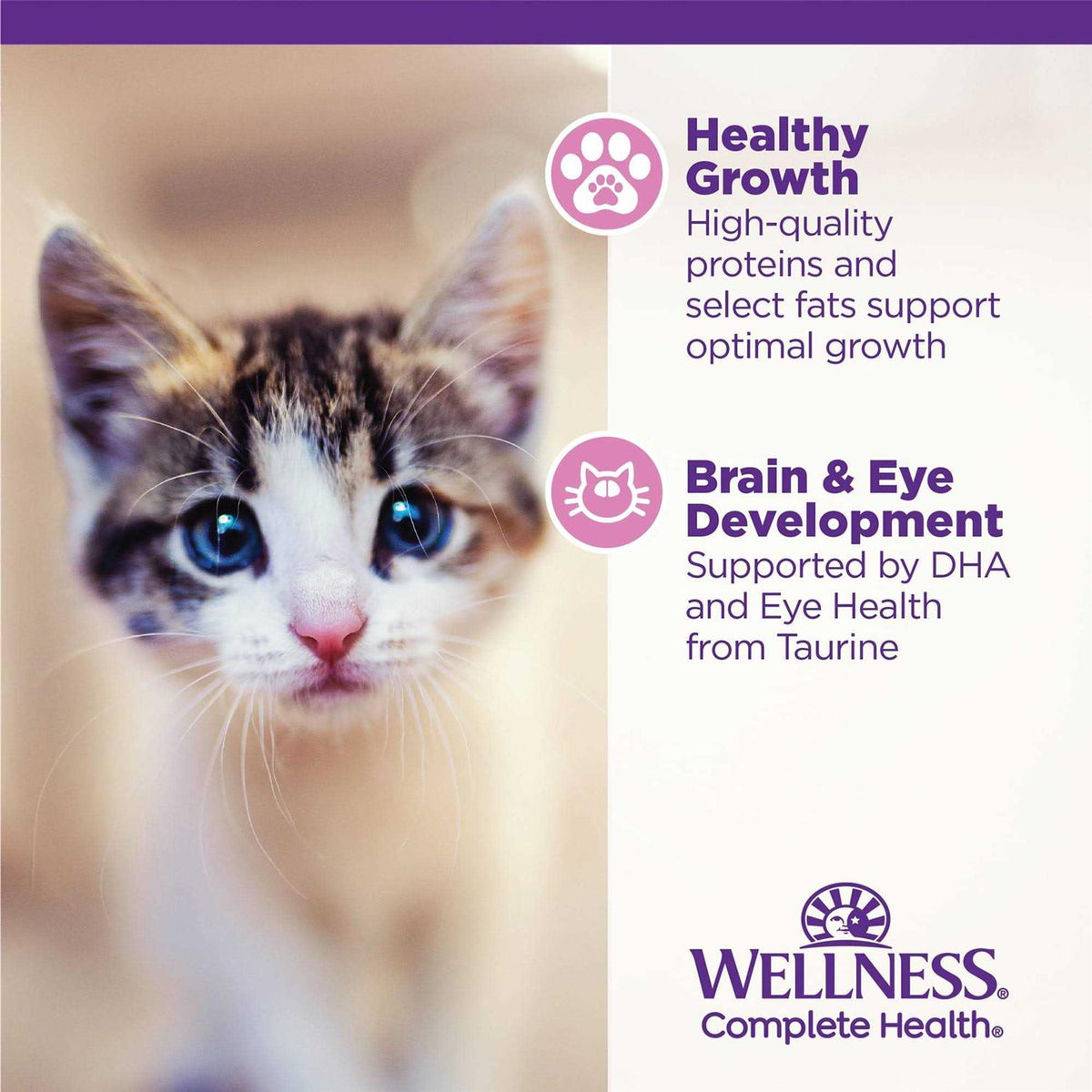 Chicken Dry Kitten Food H50599