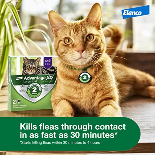 Large Cat Flea Prevention Treatment, 4 Topical Doses G718654