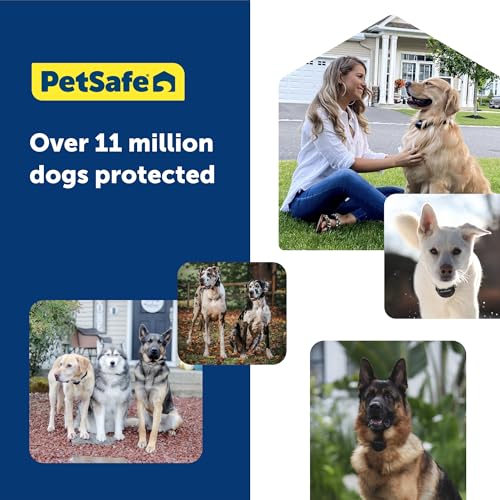 GPS Dog Collar with App, Waterproof Rechargeable (Blue, Grey) C539888