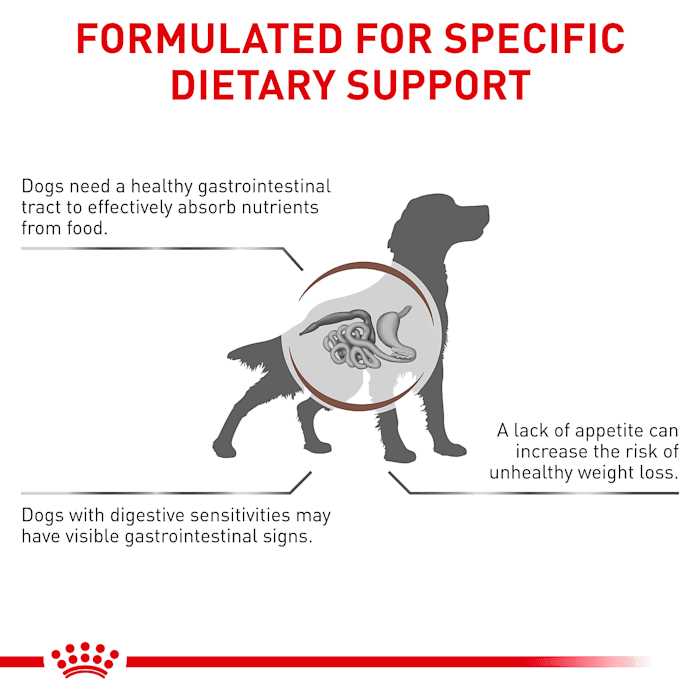 Veterinary Diet Gastrointestinal Dry Dog Food Q731858