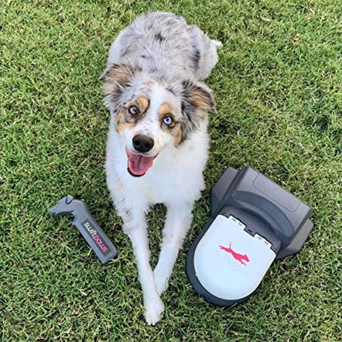 Remote-Control Chase Toy for Dogs N598