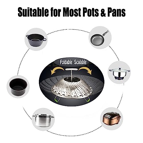 Expandable Steel Vegetable Steamer Basket (5.5"-9") R3478