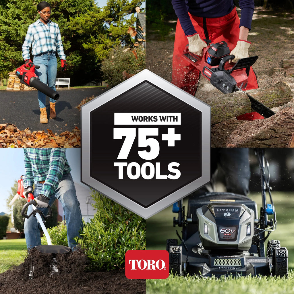 60V Max Cordless Electric Pole Saw with Battery & Charger Z4898