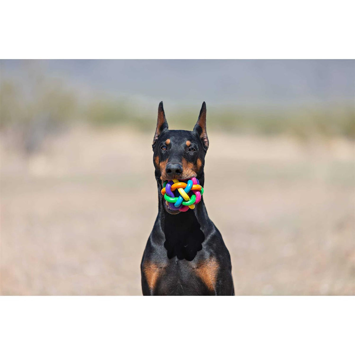 Dog Toy T8016