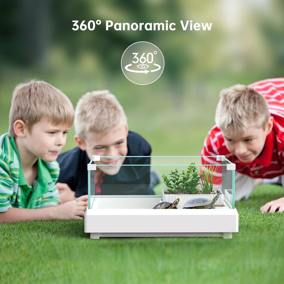 Glass Turtle Tank Aquarium with Basking Platform, Bottom Drain Design C7089