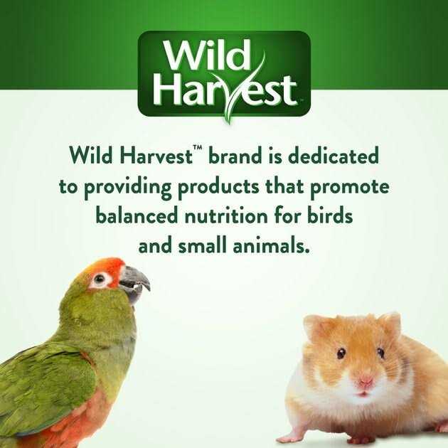 Universal Blend Birds Pet Supplies K455039