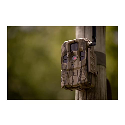 Cellular Trail Camera 2-Pack with 32GB Memory Card and Card Reader F140221