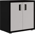 Steel Cabinet with Two Doors J169