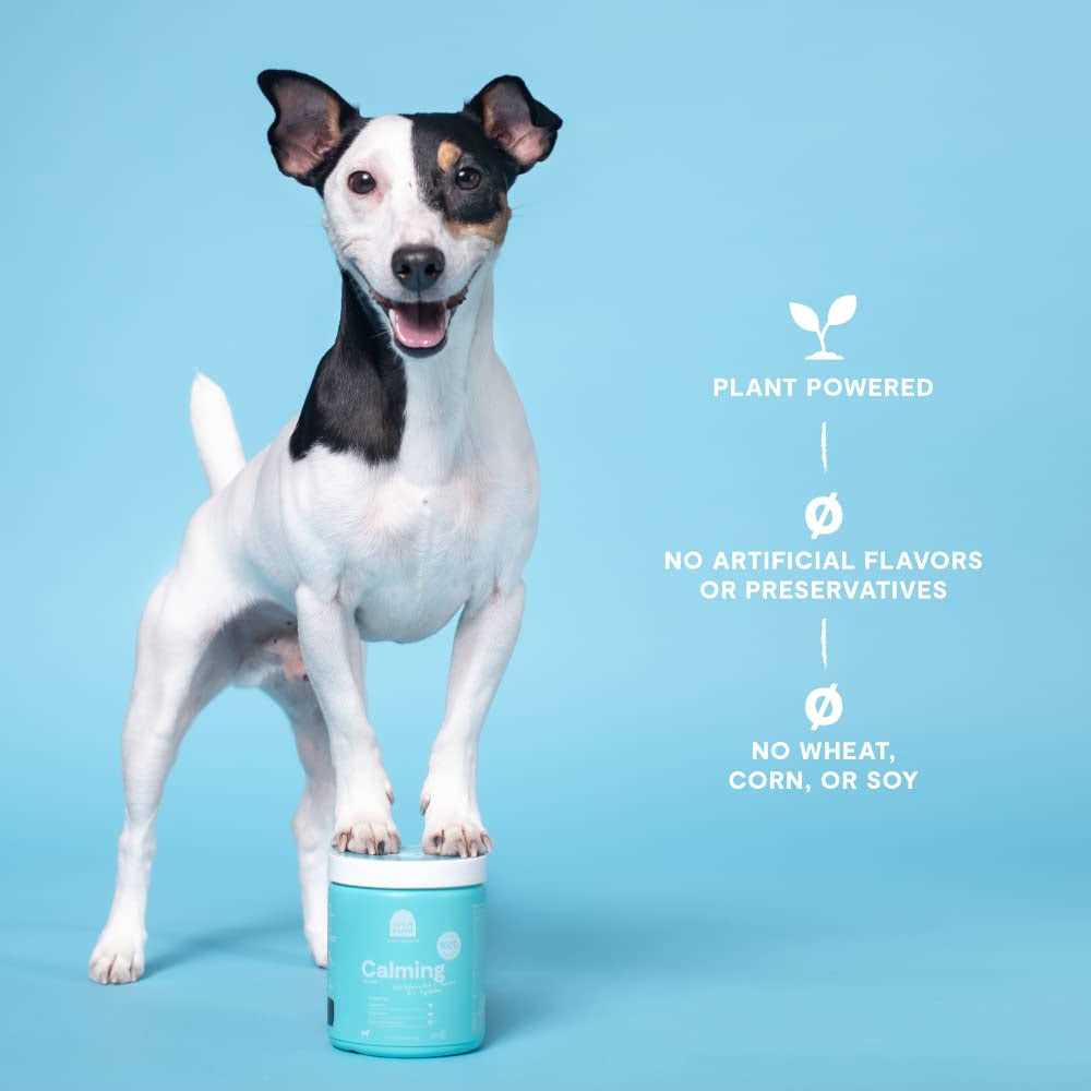 Calming Chews Dog Supplement G6630