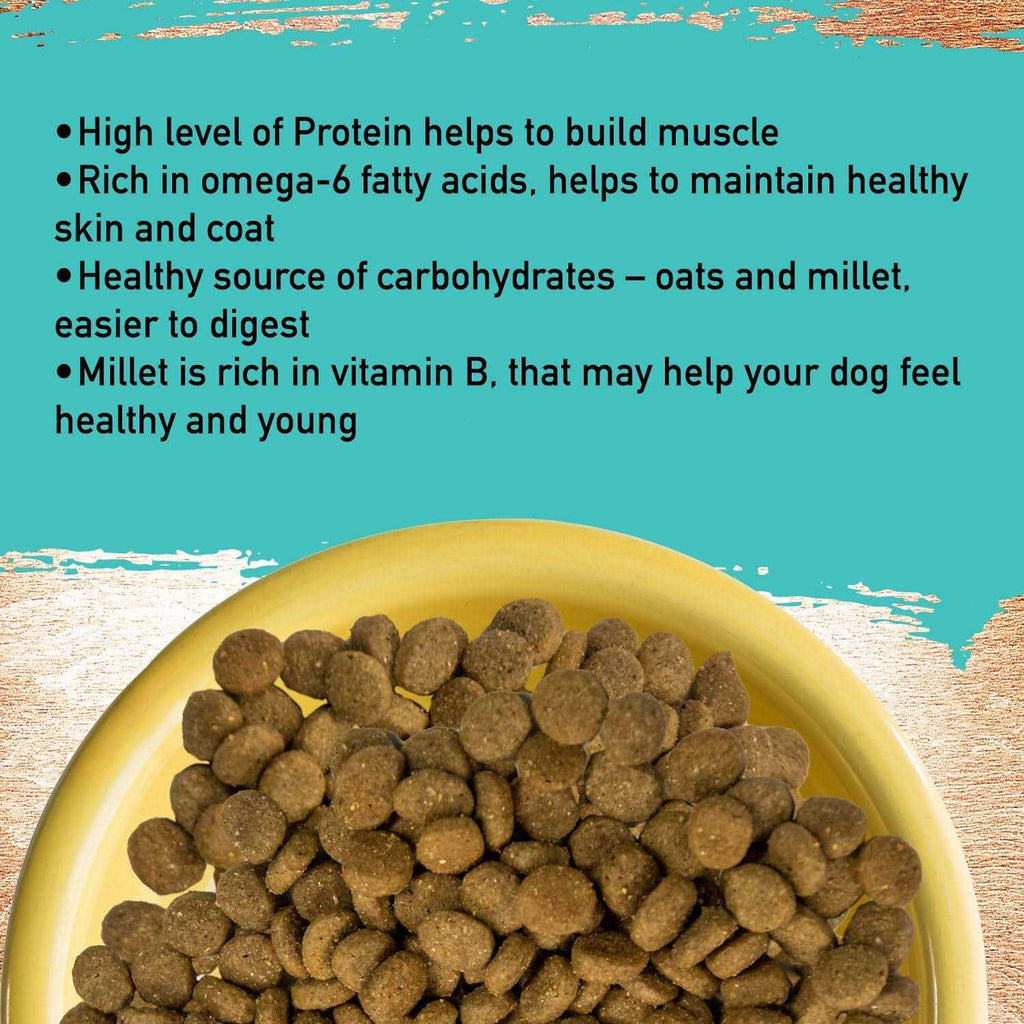 Dog Food O678