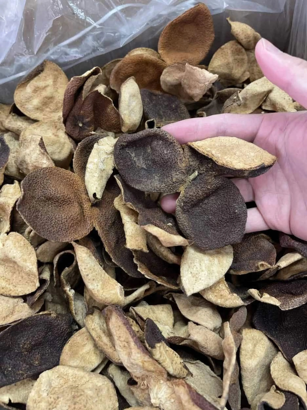 Dried Aged Orange Citrus Peel 200G W905
