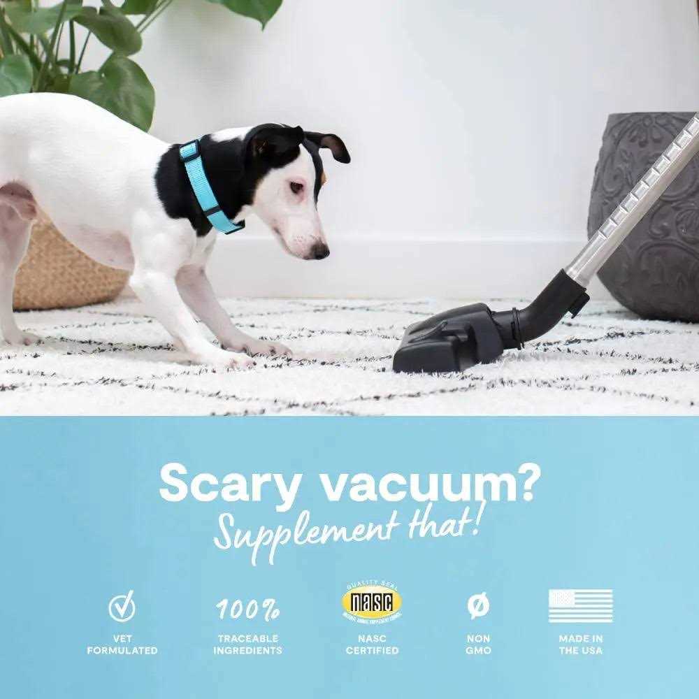 Calming Chews Dog Supplement G6630